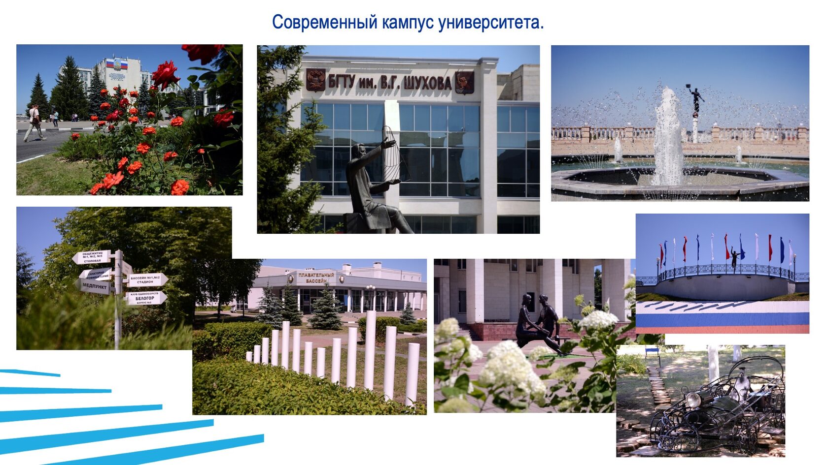 Строительство и благоустройство БГТУ им. В.Г. Шухова. Слайд 48